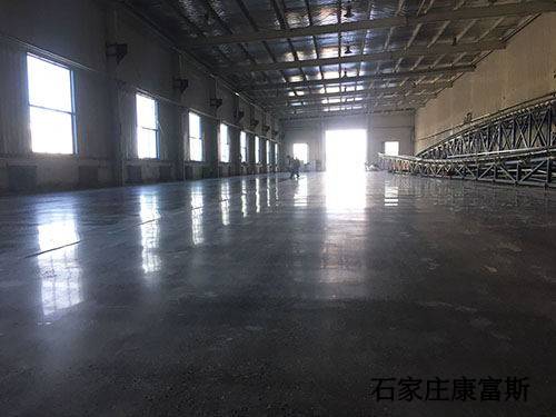 爱郎大体样貌有标.jpg